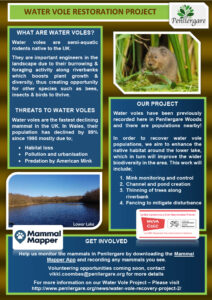 Water Vole Project Poster