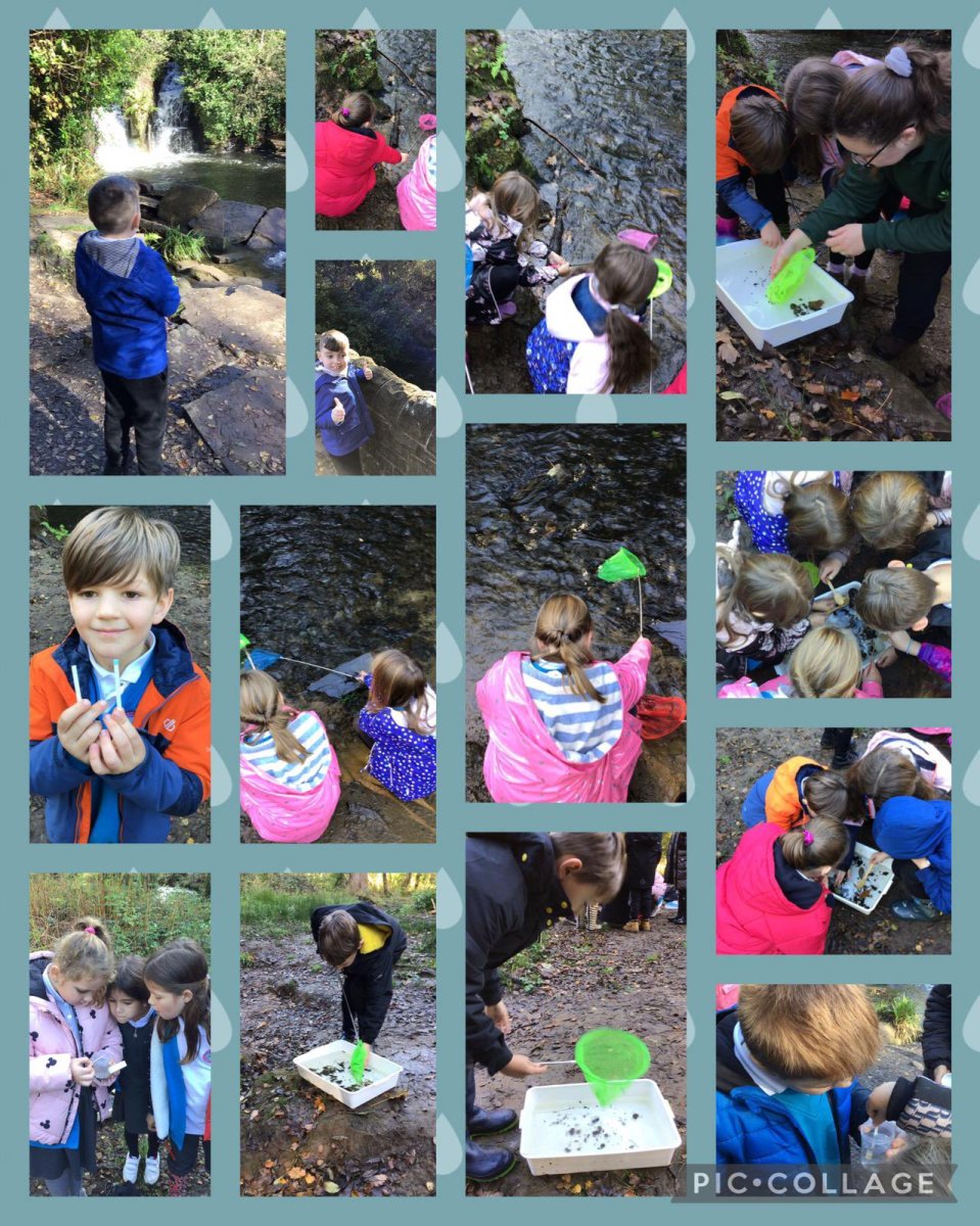 River Dipping