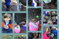 River Dipping