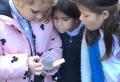 Bug Hunt