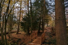 Pont Wildwood 