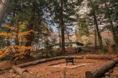 Wildwood Firepit 