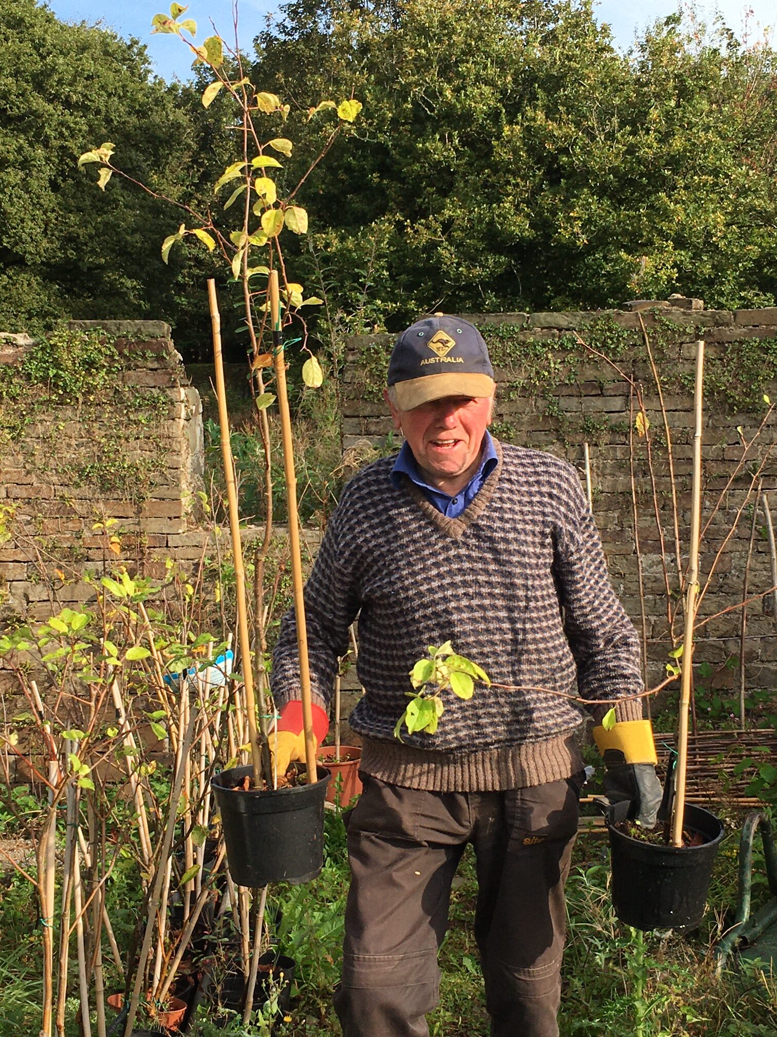 Planting for the Future