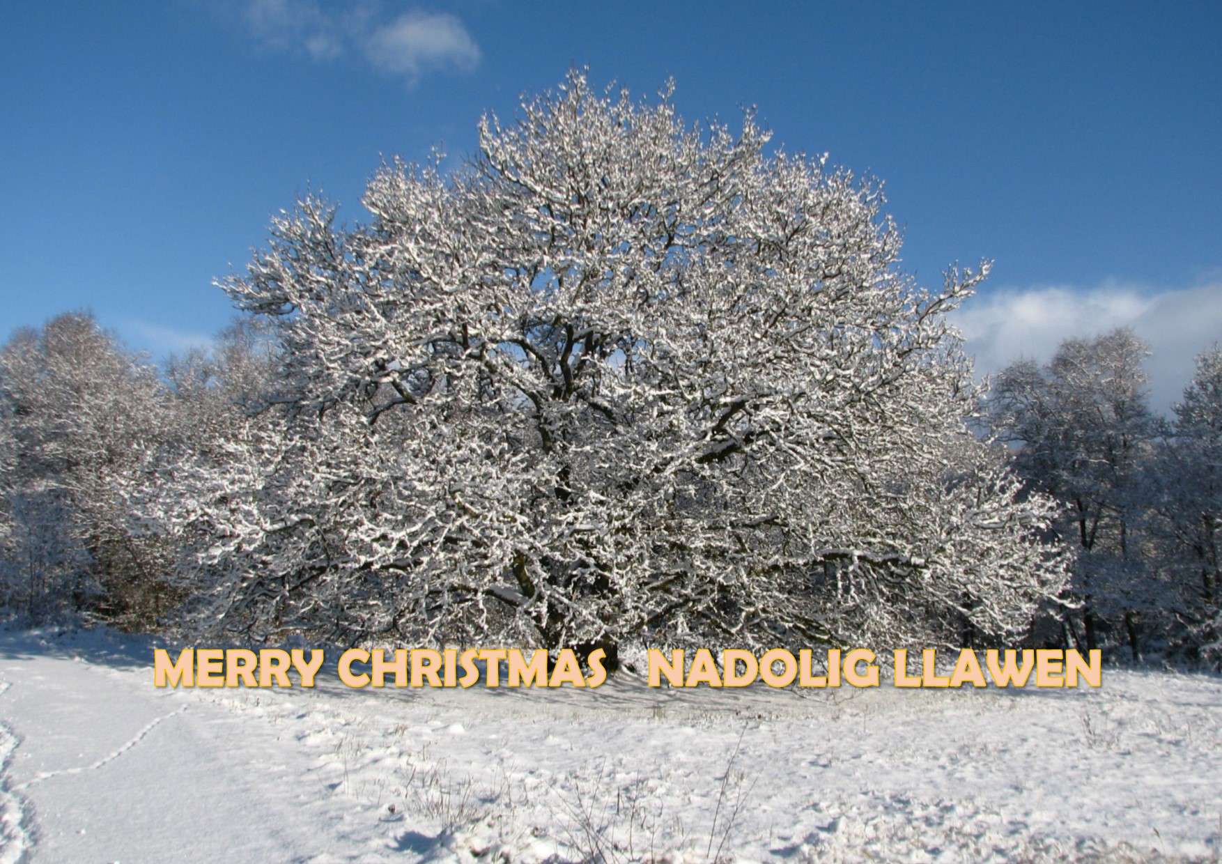 Merry Christmas Nadolig Llawen