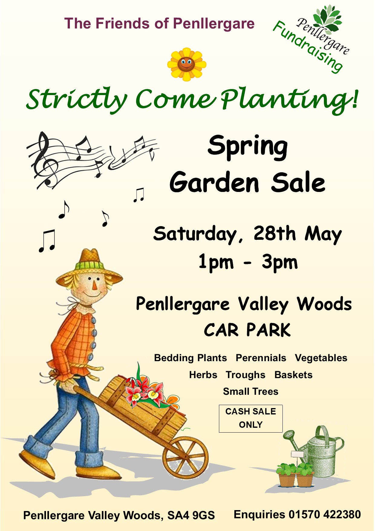 Strictly Come Planting Sale