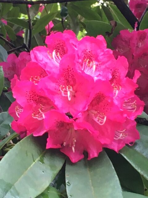 The Aliens Have Landed