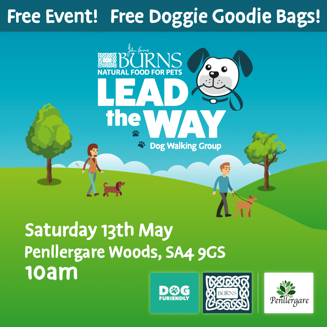 Lead the Way at Penllergare