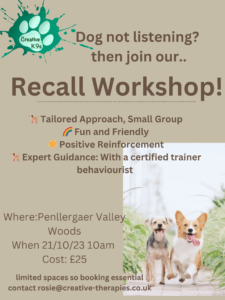 Recall Workshop Oct 23