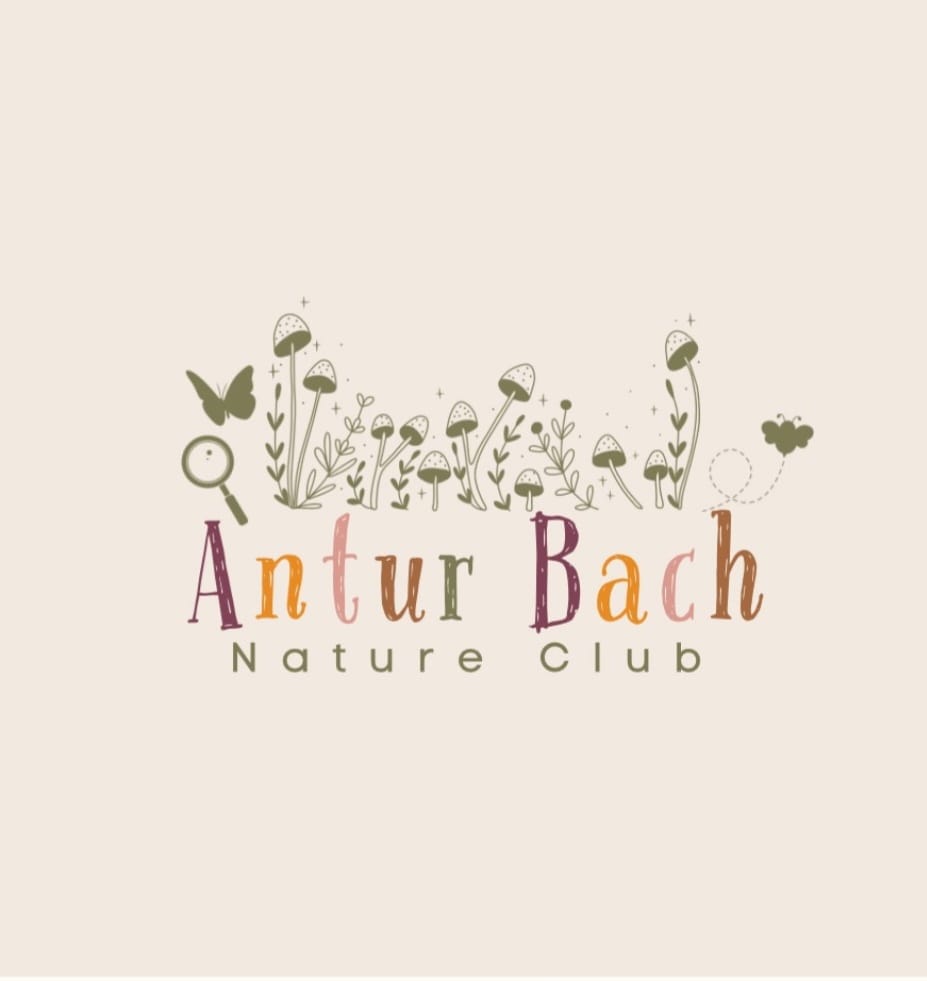 Nature Crafts with Antur Bach