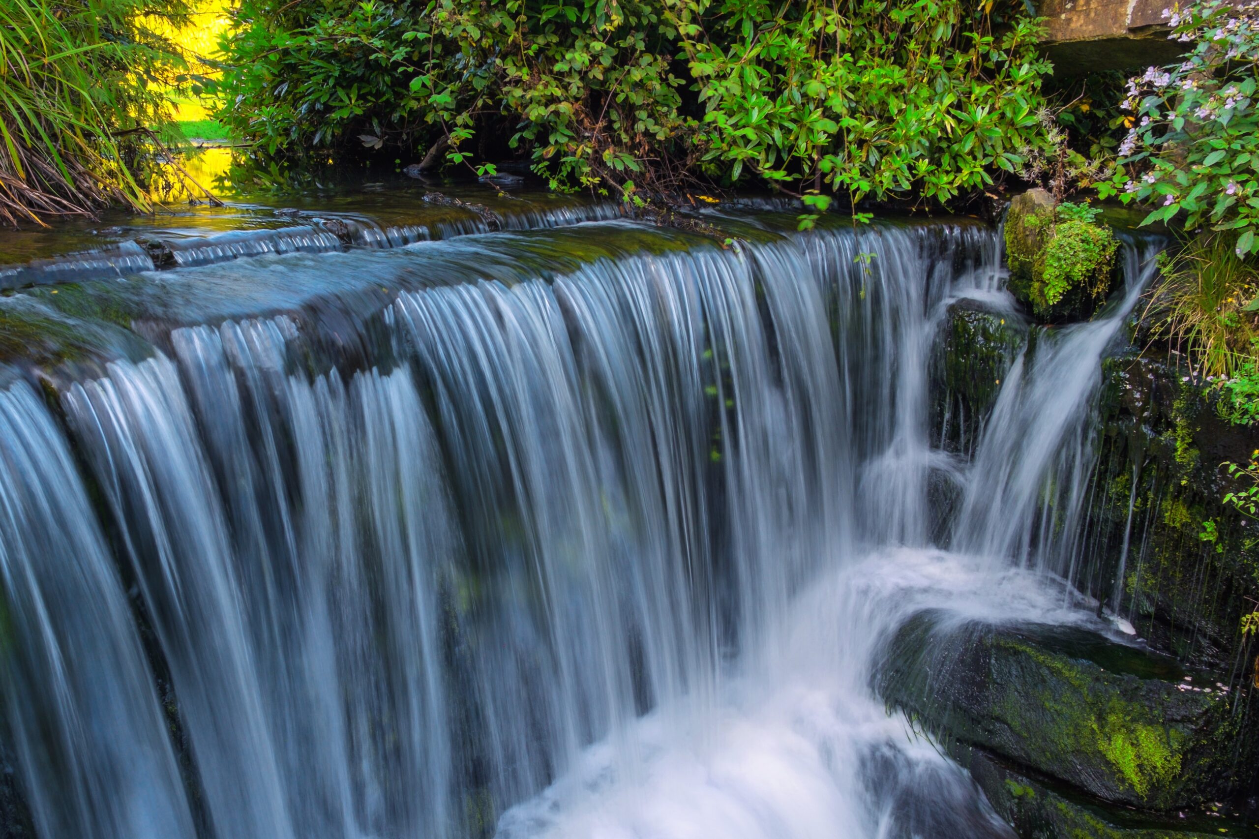 Important Notice: Bank Holiday Monday