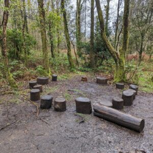 Open Upper Forest School Area