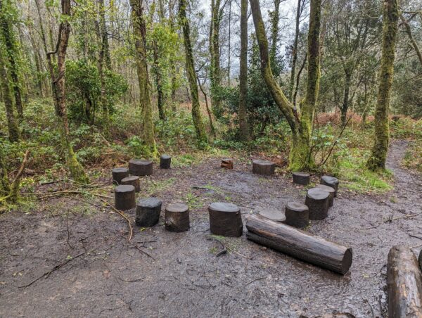 Open Upper Forest School Area