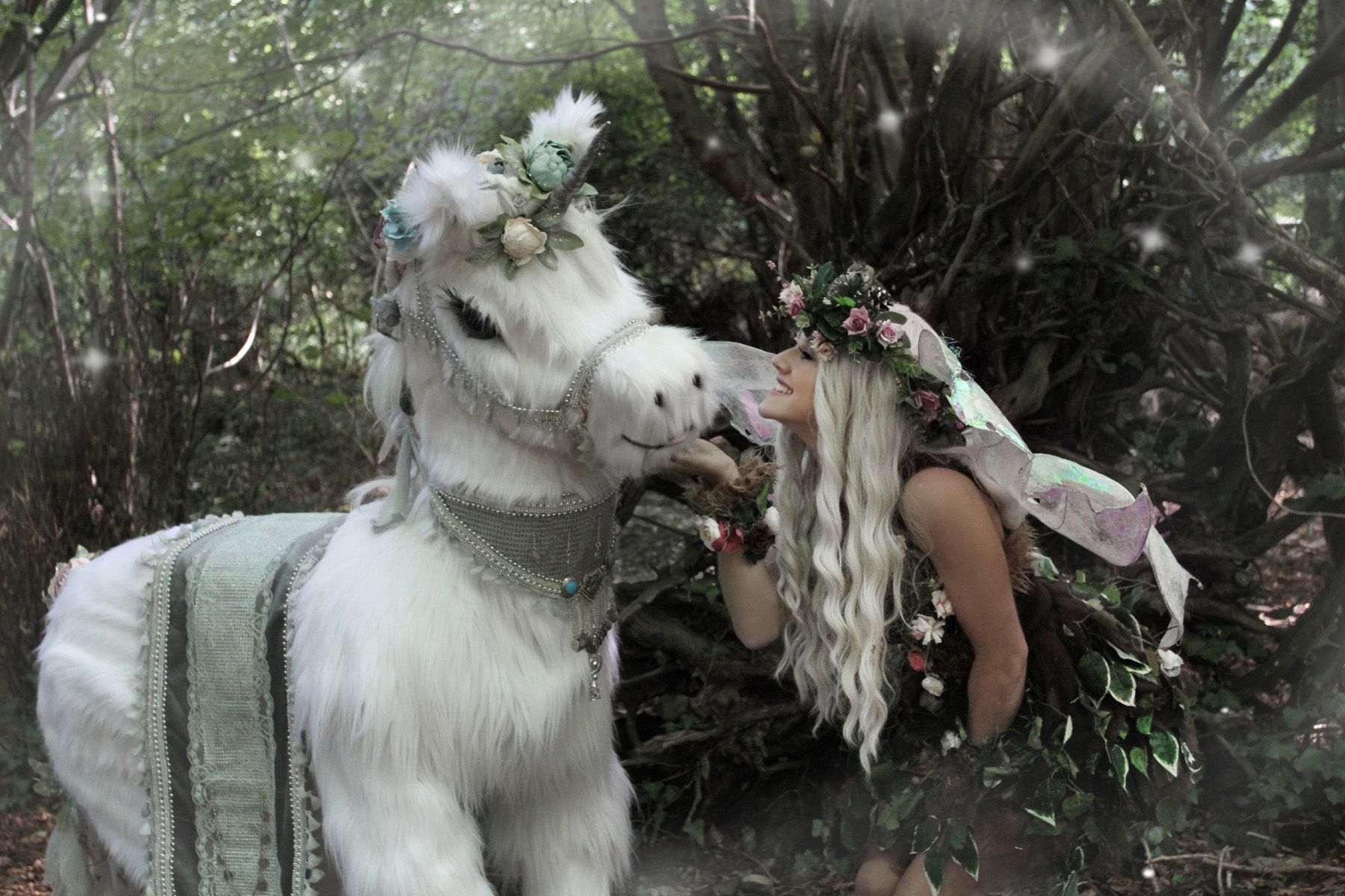 Enchanted Woods Welcome a Unicorn