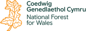 National Forest for Wales