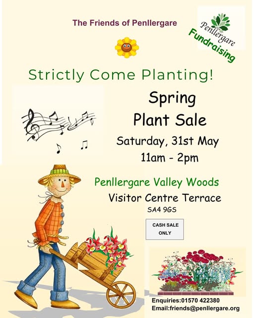 Friends’ Spring Plant Sale – Saturday 31st May 11am-2pm