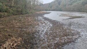 Upper Lakes before Parrots Feather removed Feb 26