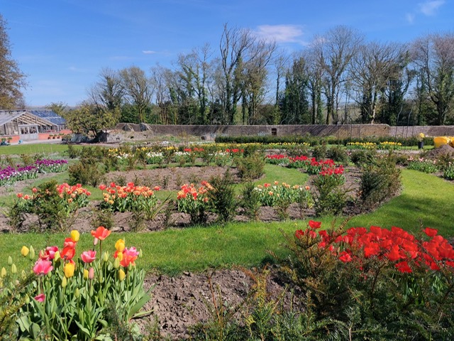 Join Us on Our Journey: Walled Garden Open Days 2026