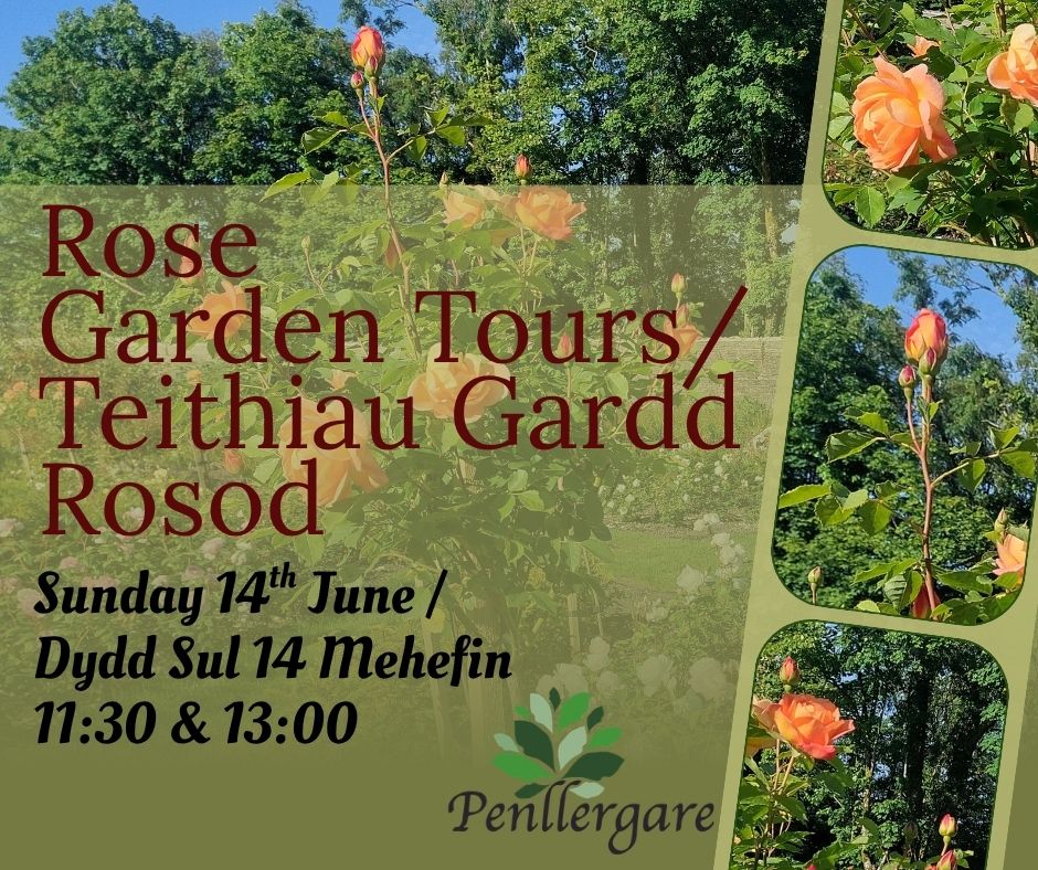 Rose Garden Tours
