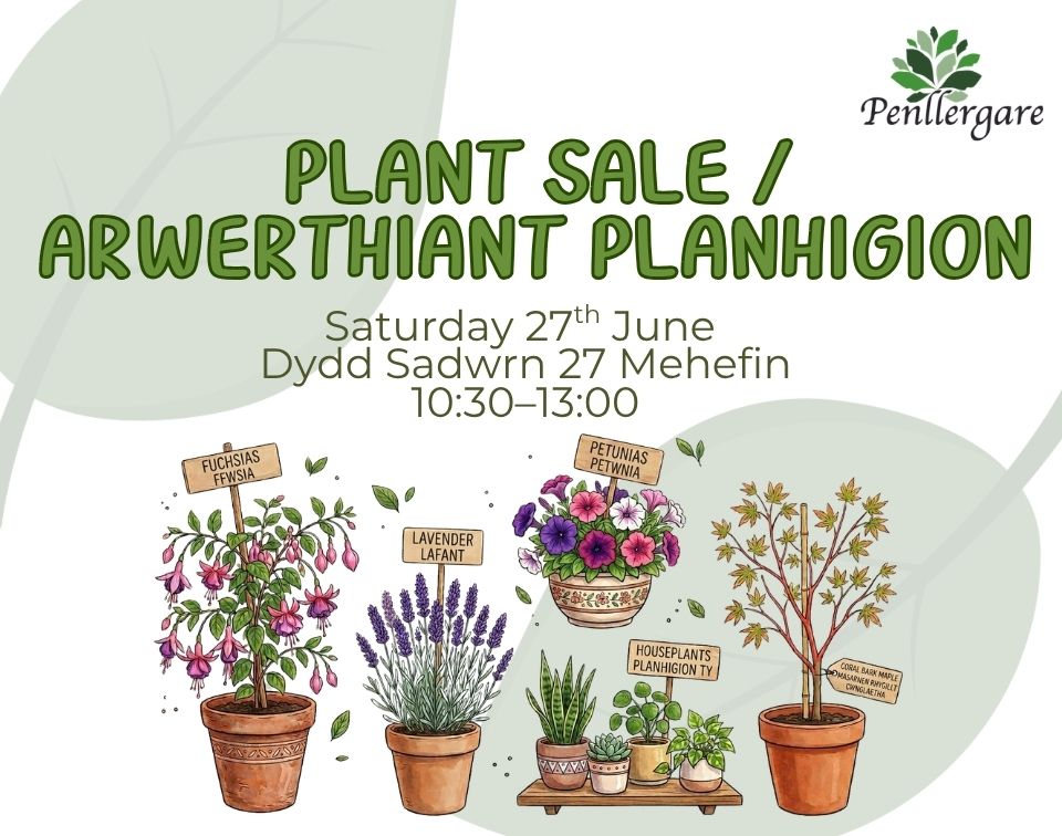 June Plant Sale