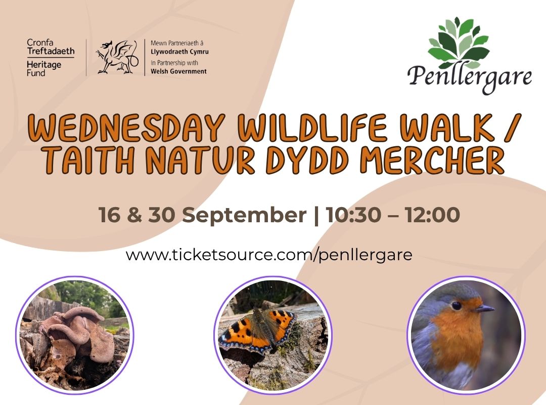 Wednesday Wildlife Walks