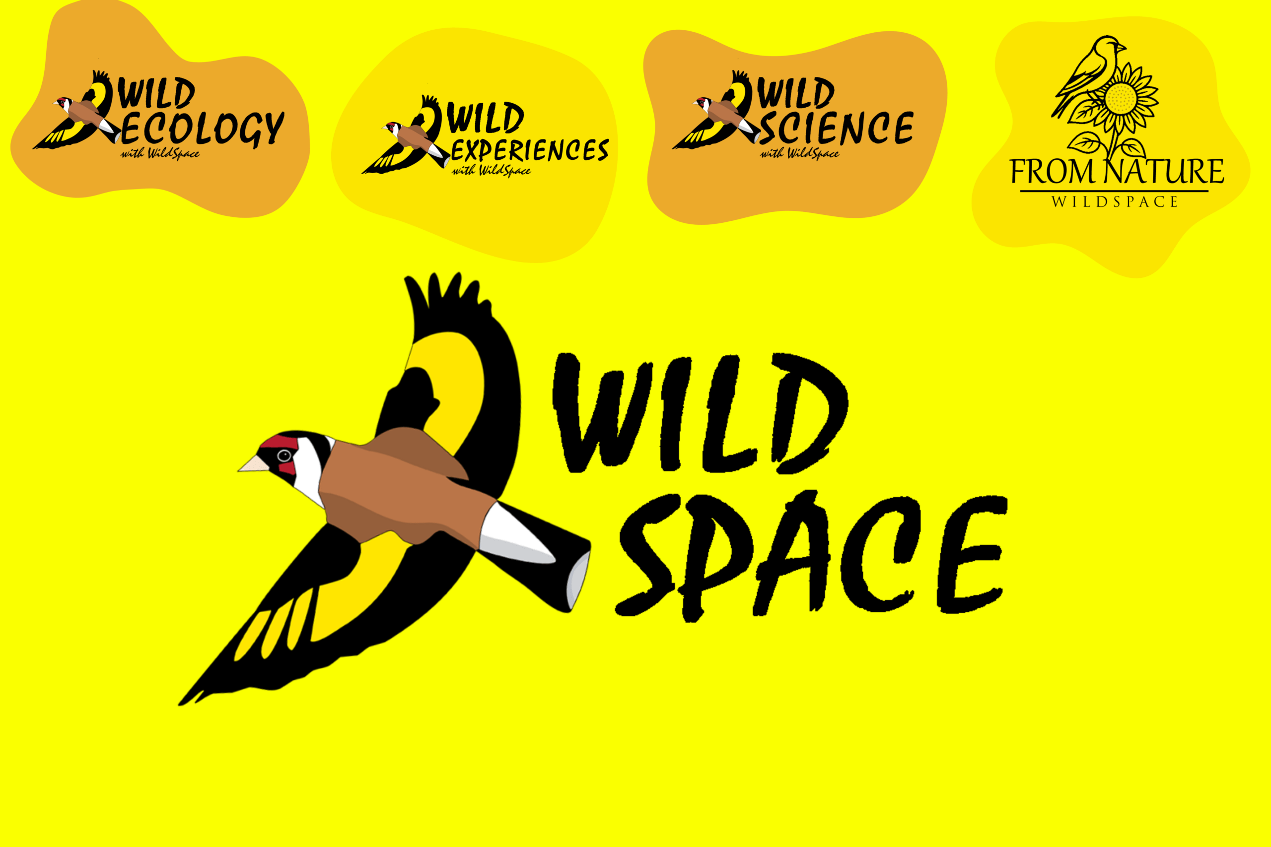 Wild Science with Wild Space