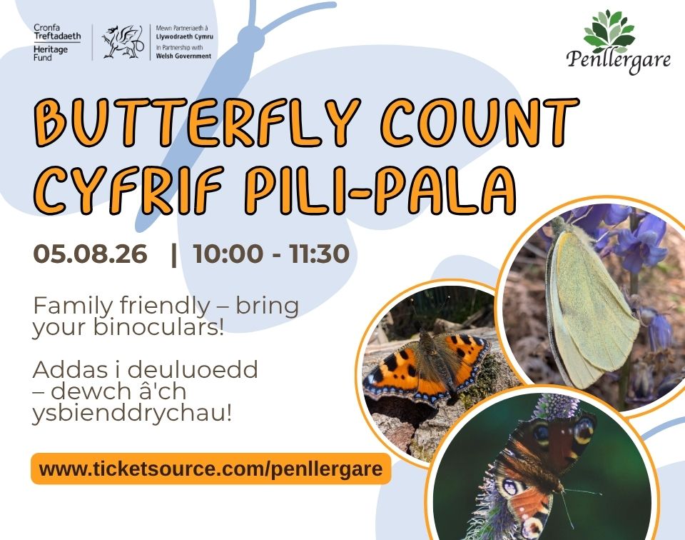 Butterfly Count 