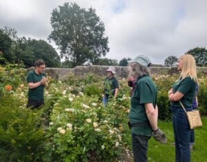 Walled Garden - Visit from Joseph Sturrock-Spencer of David Austin