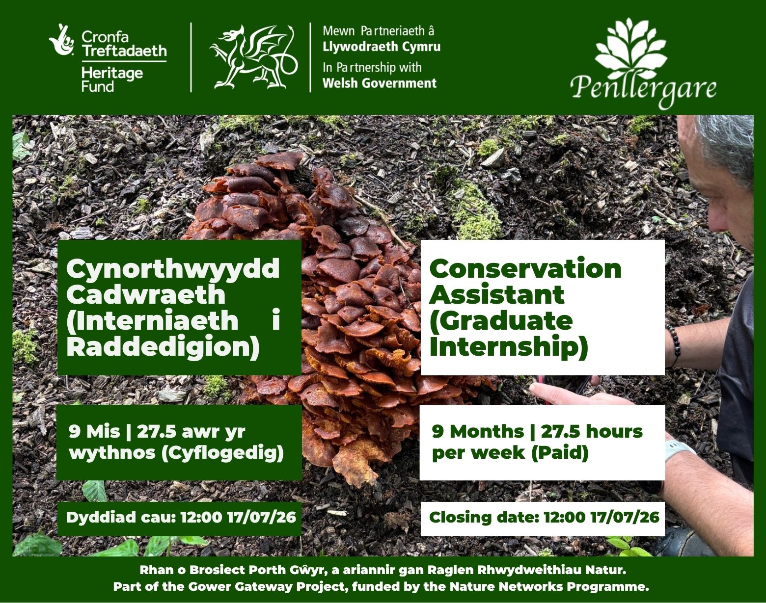 Conservation Assistant (Graduate Internship)