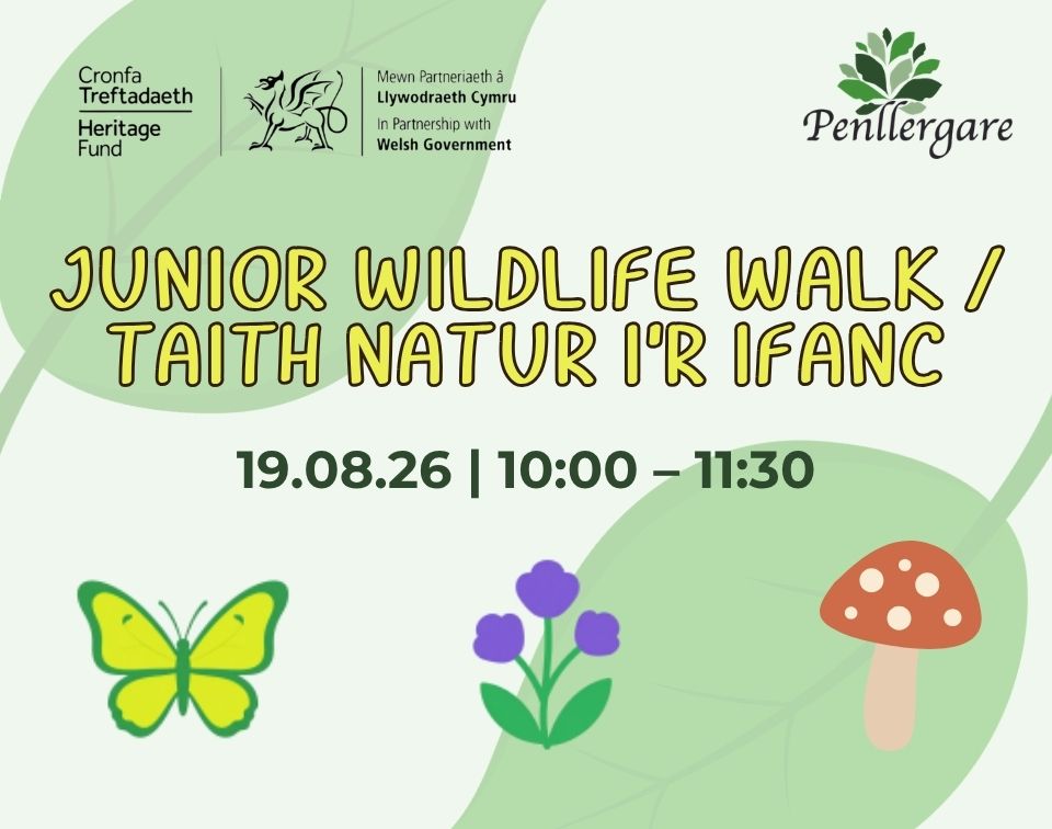 Junior Wildlife Walk