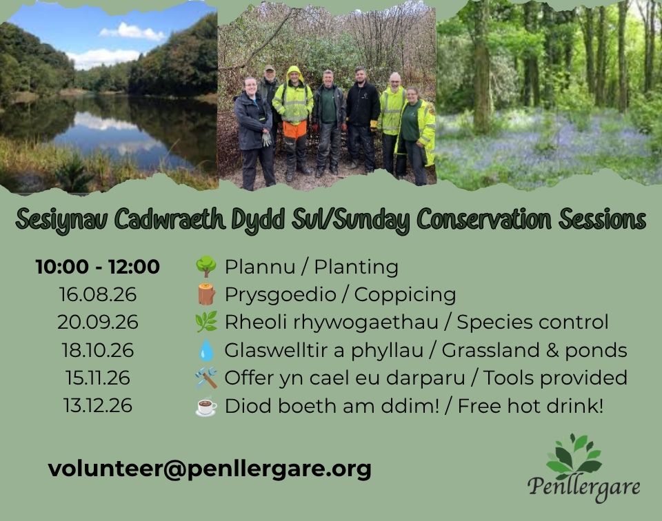 Sunday Conservation Sessions at Penllergare Valley Woods