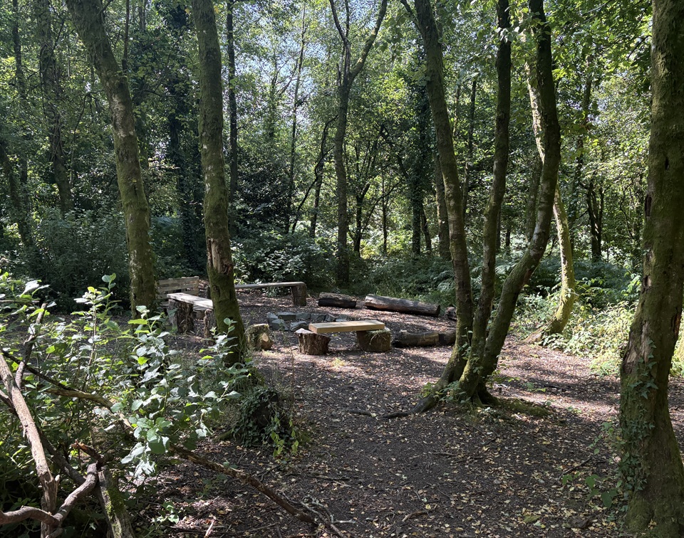 Upper Forest School Area at Penllergare