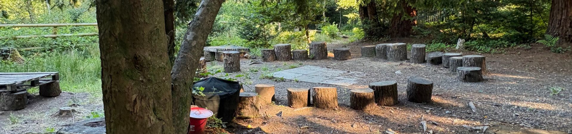 Wildwood Activity Area at Penllergare