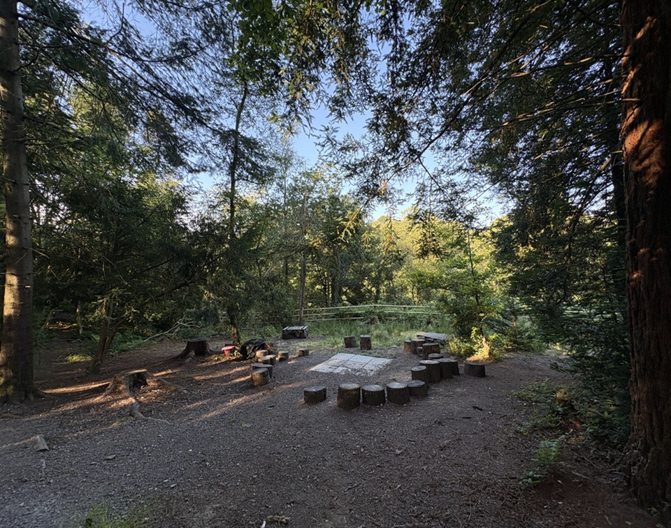 Wildwood Activity Area