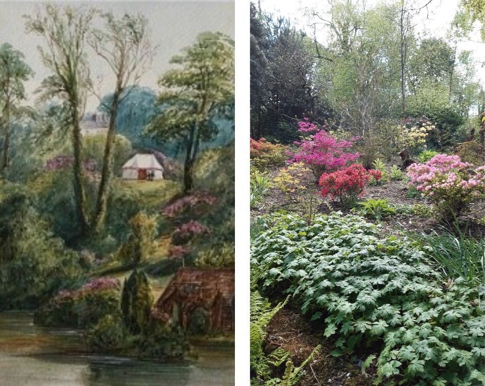 Old meets new - Woodland Garden collage
