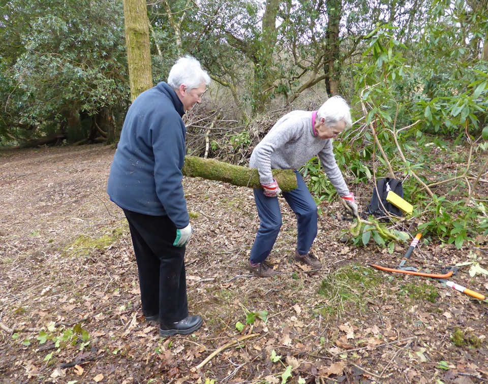 Volunteers in the Woodland Garden