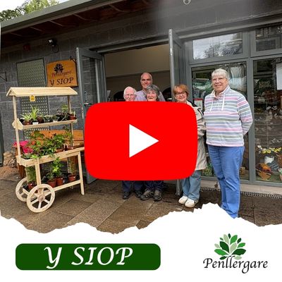 Y Siop Video Image