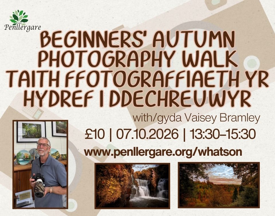 Autumn Photography Workshop at Penllergare Valley Woods