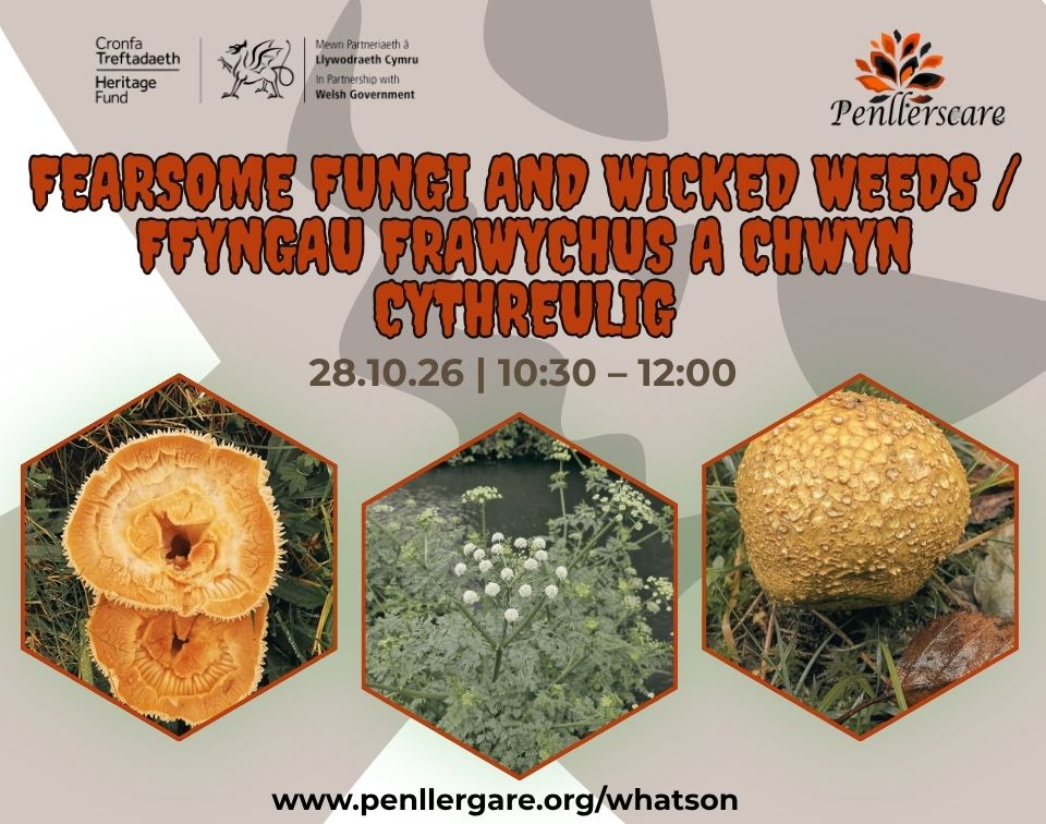 Fearsome Fungi and Wicked Weeds banner