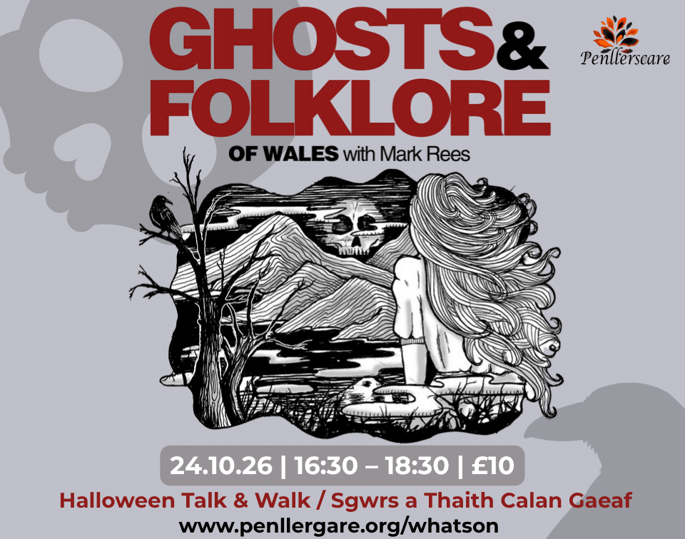 Ghosts & Folklore Mark Rees Penllergare Valley Woods Web