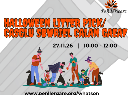 Halloween Litter Pick