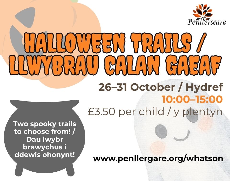 Halloween Trails at Penllergare Valley Woods banner