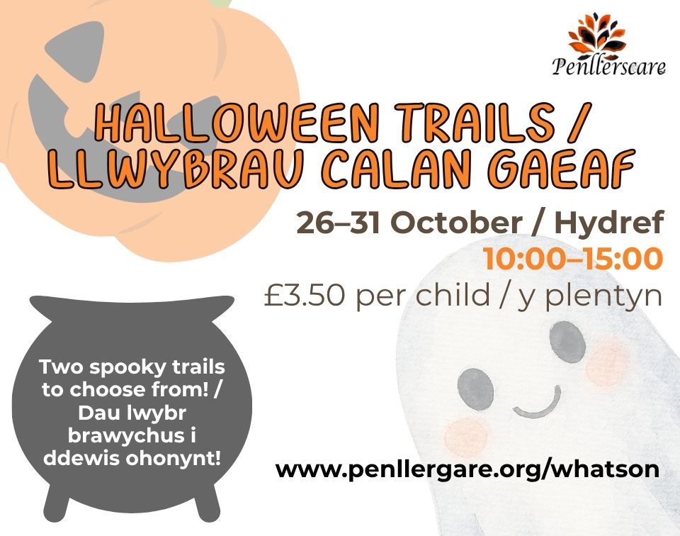 Halloween Trails at Penllergare Valley Woods