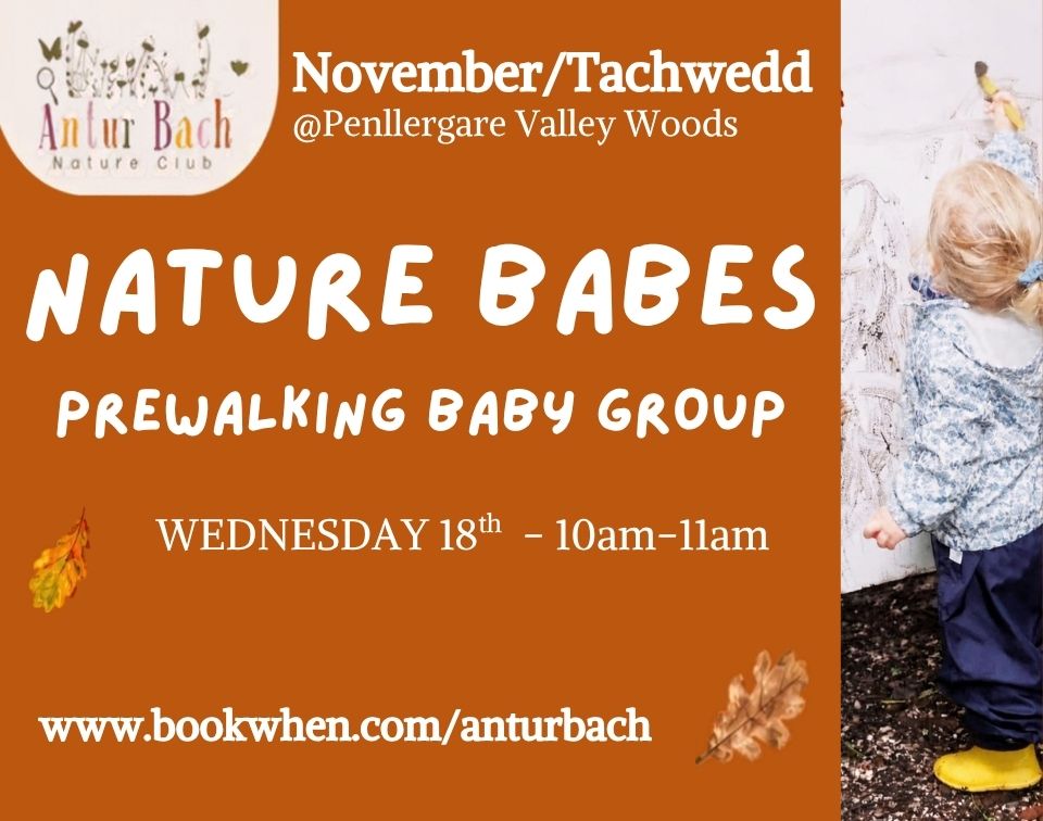 Antur Bach Nature Babes November 18
