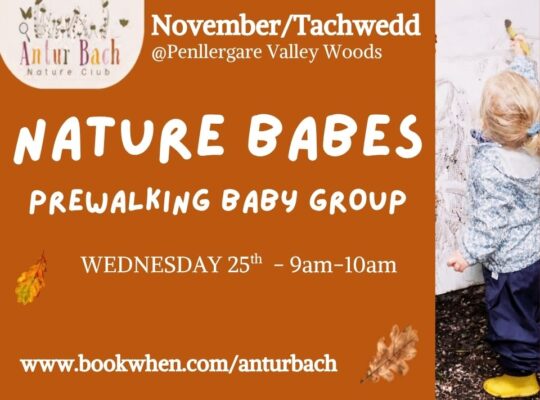 Nature Babes with Antur Bach