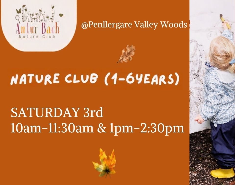 Nature Club with Antur Bach