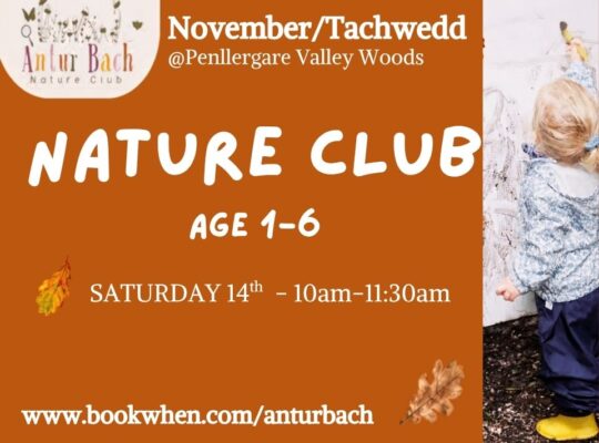 Antur Bach: Autumn Nature Club