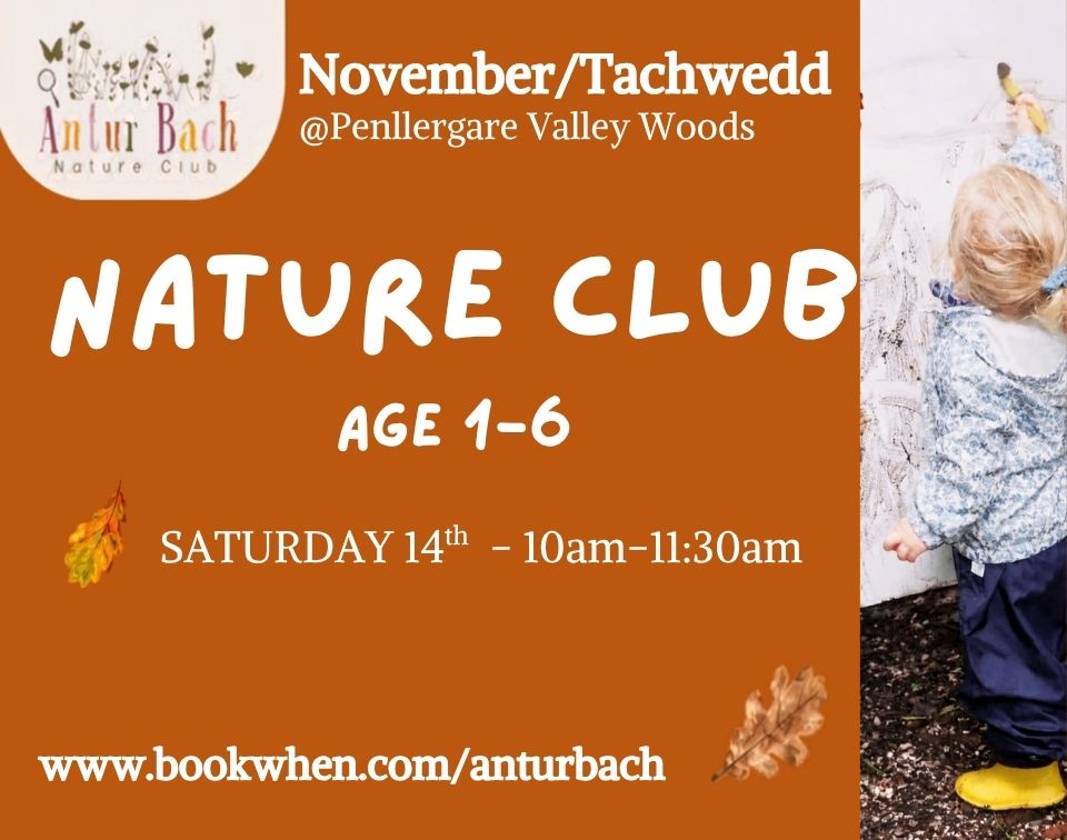 Antur Bach Nature Club 14 November