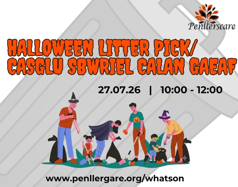 Halloween Litter Pick at Penllergare Valley Woods - Website banner