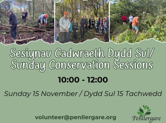 Sunday Conservation Sessions