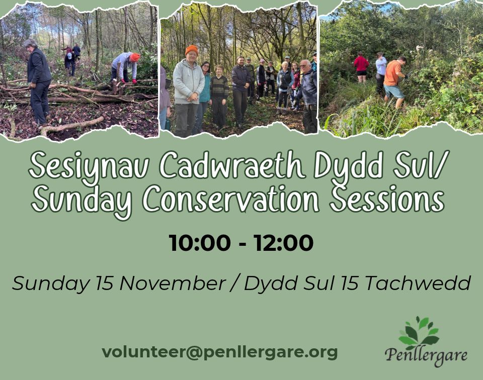 Sunday Conservation Sessions - November